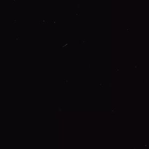 Meet your Posher, Audriana